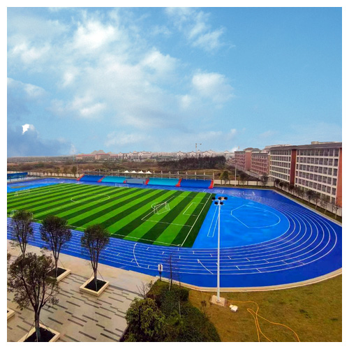 广西贵港市博雅公学塑胶跑道